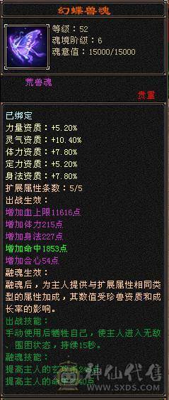 帅气时装3级配饰  幻视  已打造好可转少林 