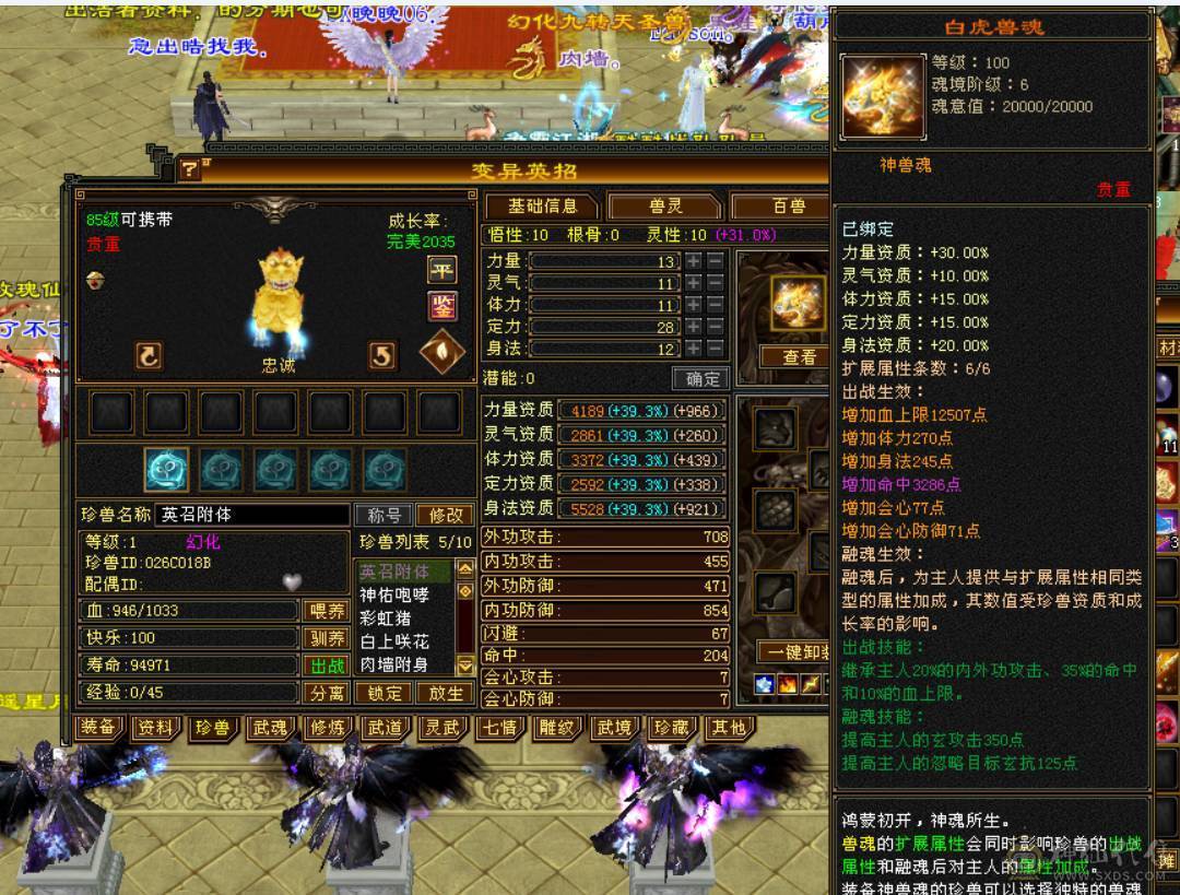 裸血66，吃药71万血，三修，大毒抗，6神，新雕文全部5带6，老雕文带10雕，宝石全6带7，带50兽灵，各种体力宝宝