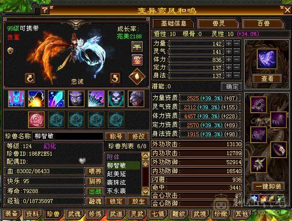 满5武当，颜值拉满，上手可玩，极致性价比