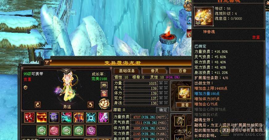 《野王铁粉》带50灵打架宝宝，强化满9，裸面板没加状态超越一般6级号