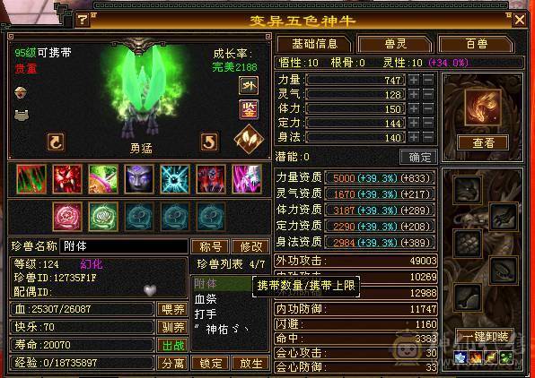 三满极品天山6022裸属 绝版坐骑长风  高命中高会心 全身极品8星装备细节满满 带2只双10宝宝 不需要再投资白嫖即可爽玩