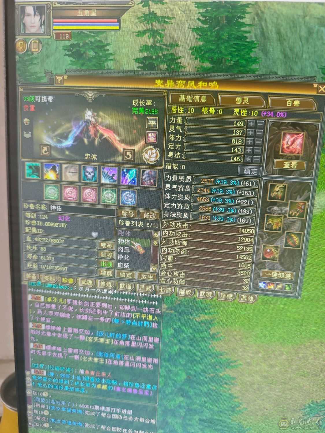 满6 6神天山  7900+裸属  1100减抗  600玄抗   双永久坐骑 到手不需要投资  