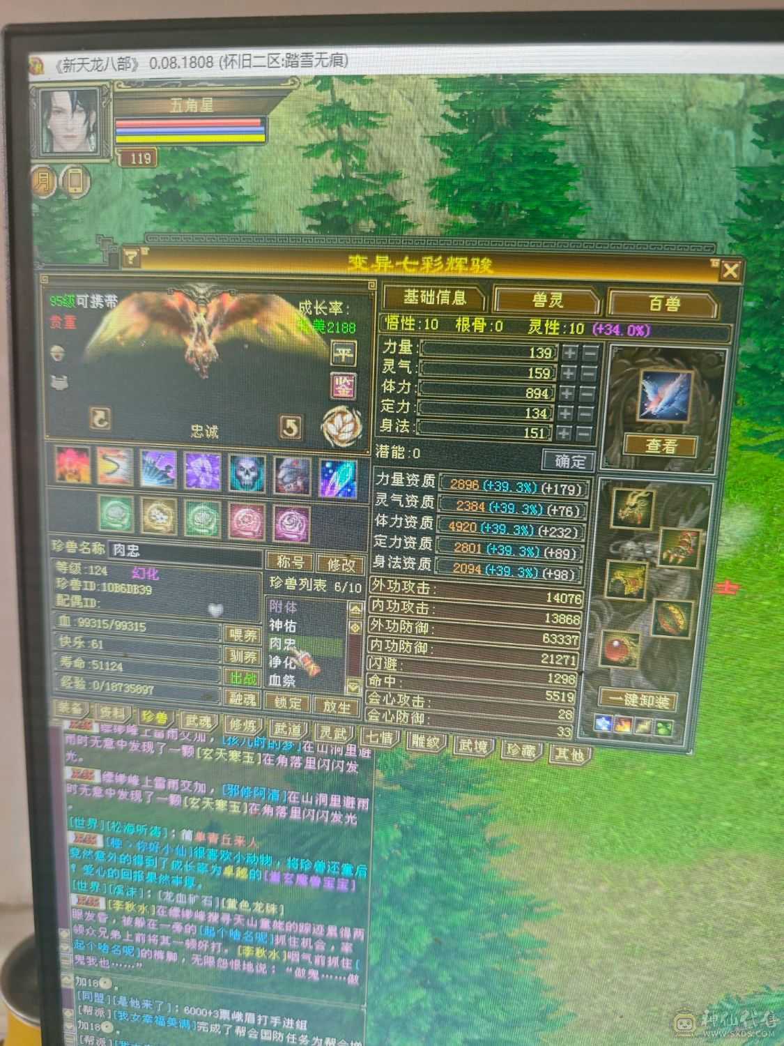 满6 6神天山  7900+裸属  1100减抗  600玄抗   双永久坐骑 到手不需要投资  