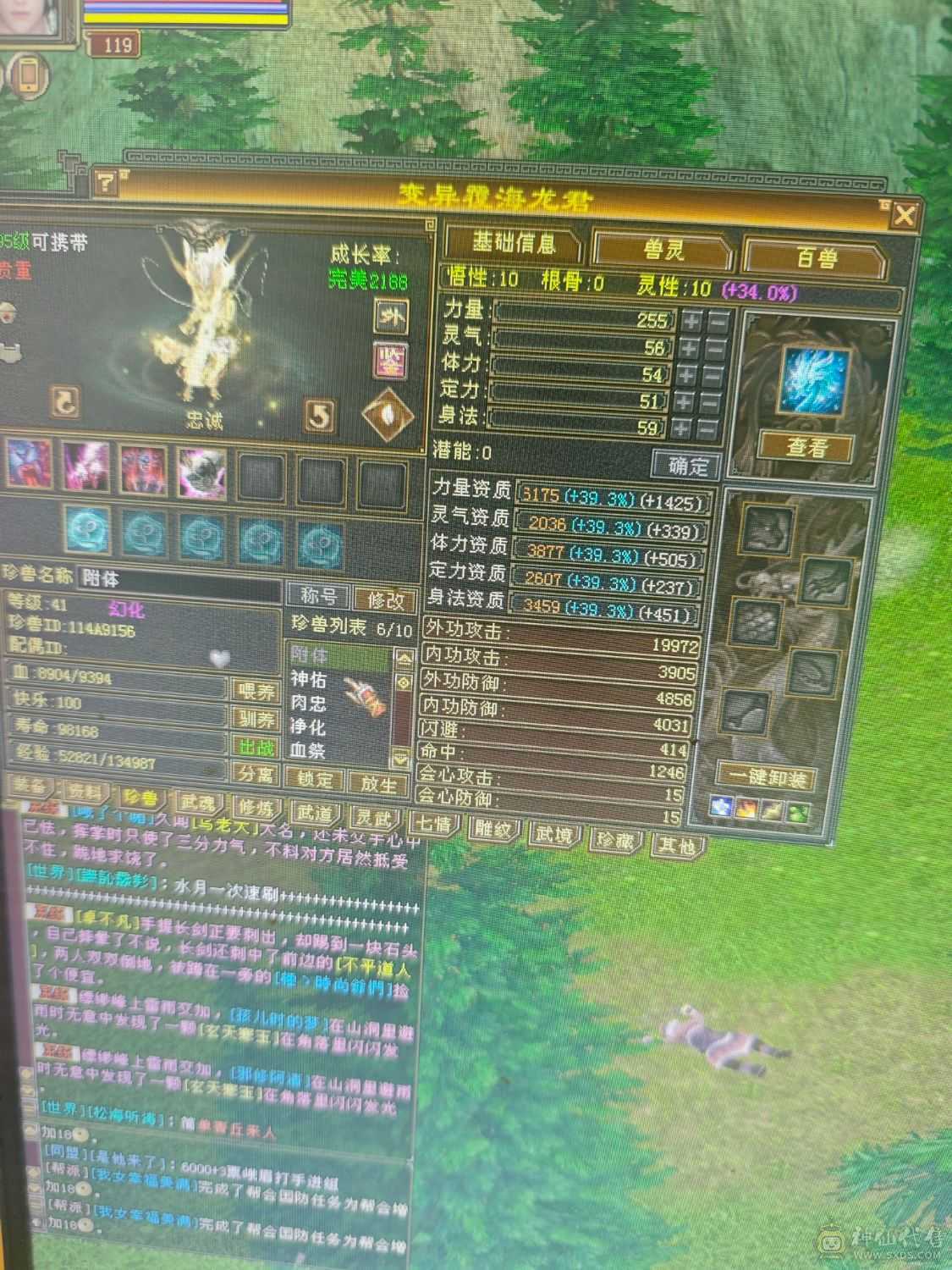满6 6神天山  7900+裸属  1100减抗  600玄抗   双永久坐骑 到手不需要投资  