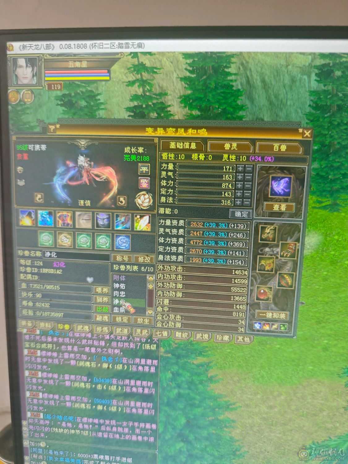 满6 6神天山  7900+裸属  1100减抗  600玄抗   双永久坐骑 到手不需要投资  