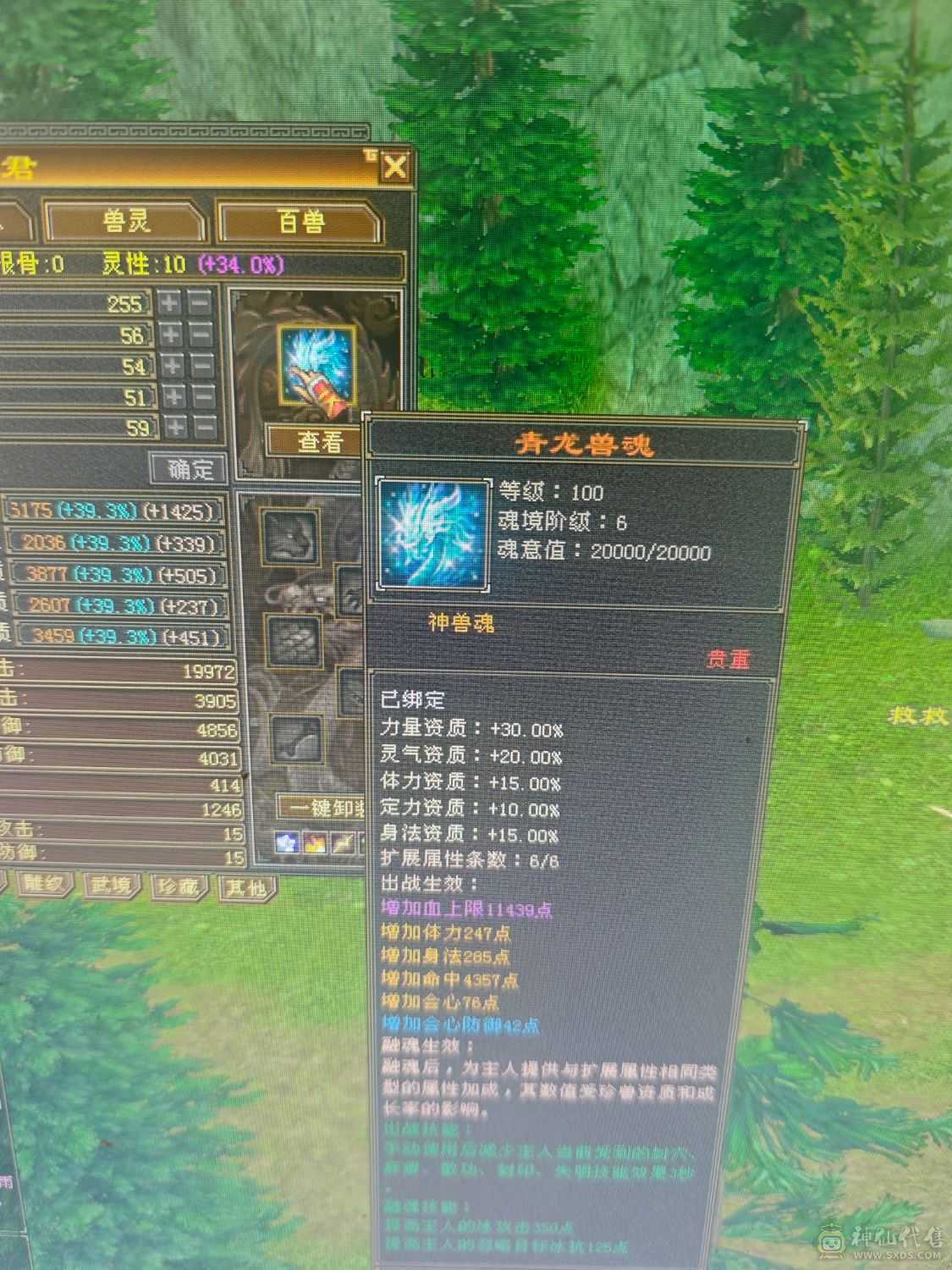 满6 6神天山  7900+裸属  1100减抗  600玄抗   双永久坐骑 到手不需要投资  