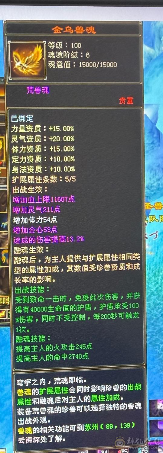 六属六体六身五神八雕，麒麟带剑饰外观造型，盟会10级，带所有不还价