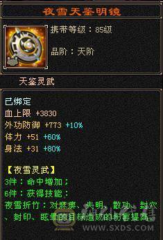 1100+减满6天山，冰火玄拉满，骨翼，雪猿，4级配饰，仓库有武当全套装备，双门派随时切