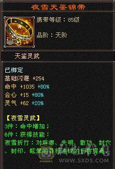 1100+减满6天山，冰火玄拉满，骨翼，雪猿，4级配饰，仓库有武当全套装备，双门派随时切