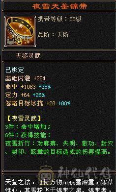 1100+减满6天山，冰火玄拉满，骨翼，雪猿，4级配饰，仓库有武当全套装备，双门派随时切