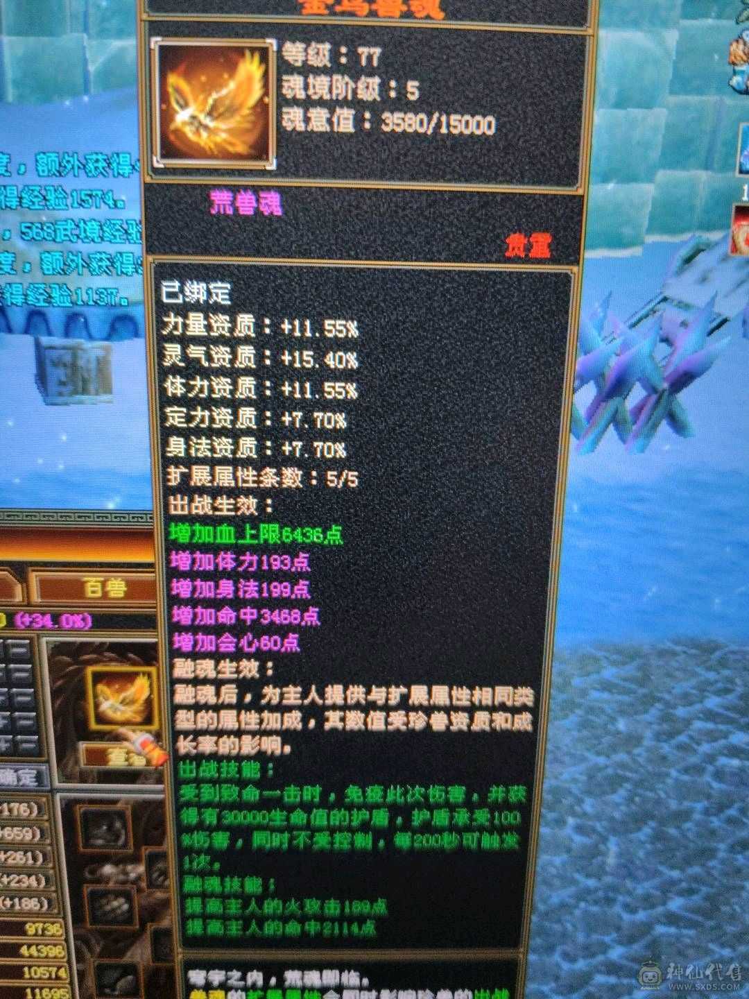 三修逍遥，永久坐骑，6件永久时装，盟会9级