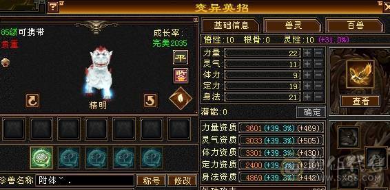 晚晚推荐：双修极限5带6，赤兔万剑北辰，带一套外功神兽五星套