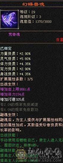 晚晚推荐：三修满6满8雕6神，大衣柜，双永久坐骑换号喜欢的来谈