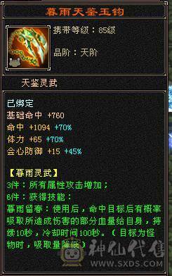 6神四修总属1.25万四抗300满衣柜5坐骑6级大少林