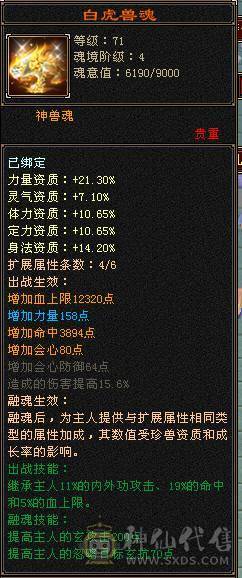6神四修总属1.25万四抗300满衣柜5坐骑6级大少林