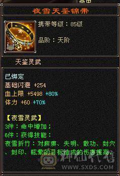 6神四修总属1.25万四抗300满衣柜5坐骑6级大少林