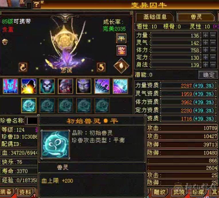 命中闪避满5，16颗6级石头，4个双十宝宝