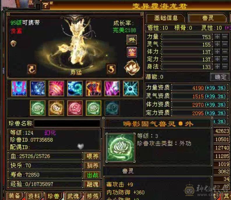 命中闪避满5，16颗6级石头，4个双十宝宝