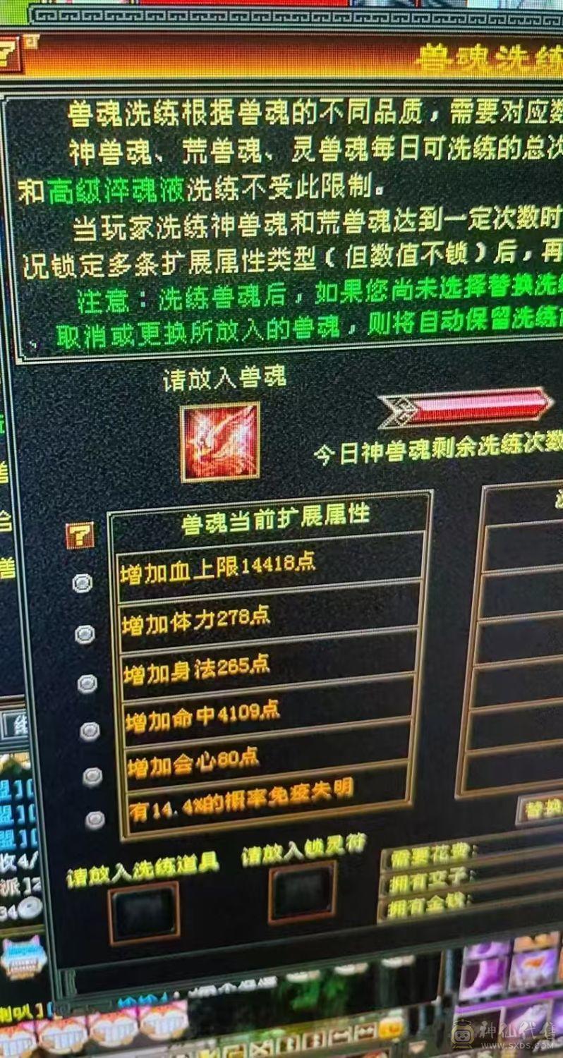 三修6体6属火逍遥5阶过半神兽(8700多点带2个1玠朱雀）