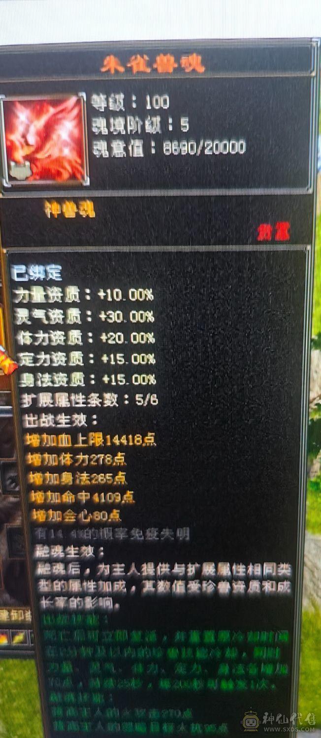 三修6体6属火逍遥5阶过半神兽(8700多点带2个1玠朱雀）