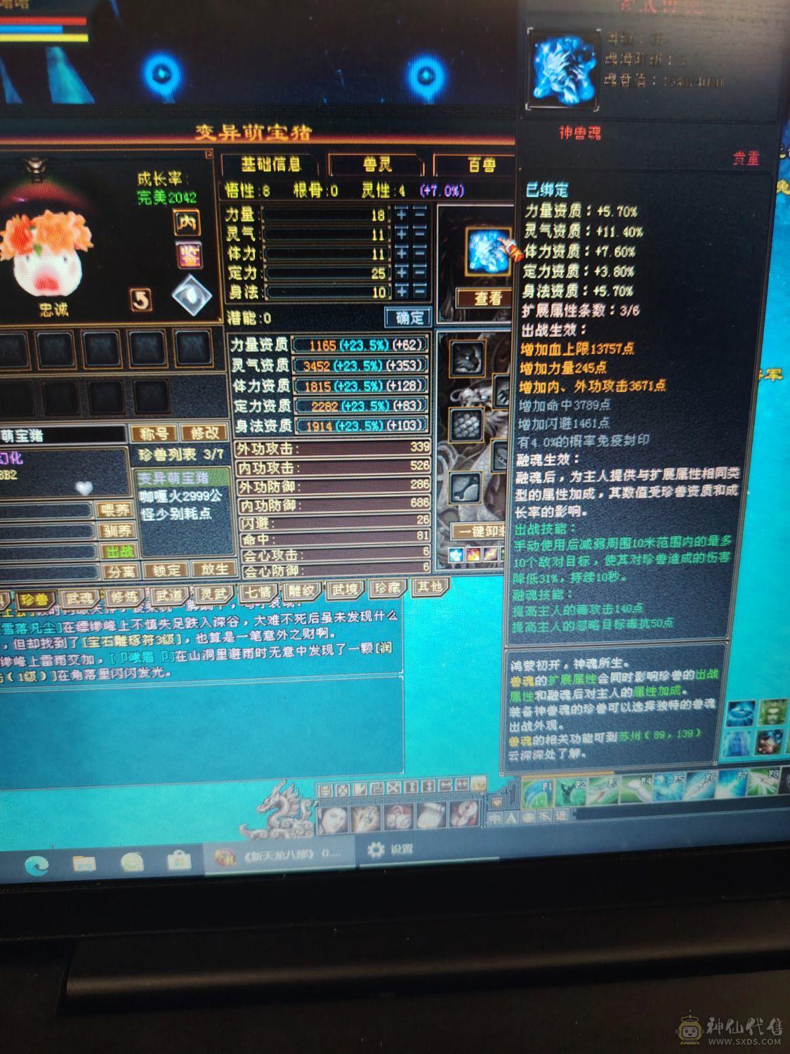 5级号，绝品时装多。主毒4354。退坑出