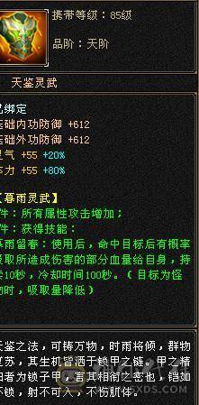 5555 极限四修 复活药  五神白虎  九尾  朱雀