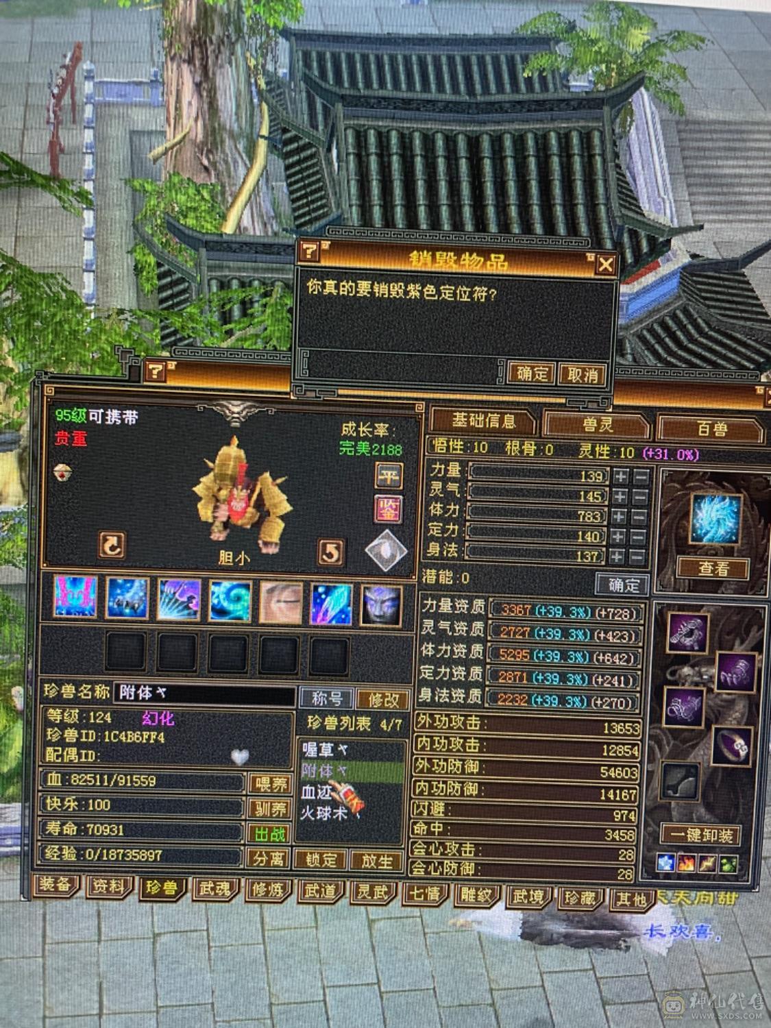5神5体6属天山