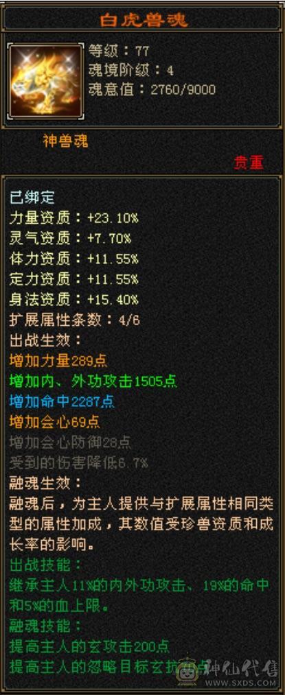 极品4修万属新背饰精品天龙