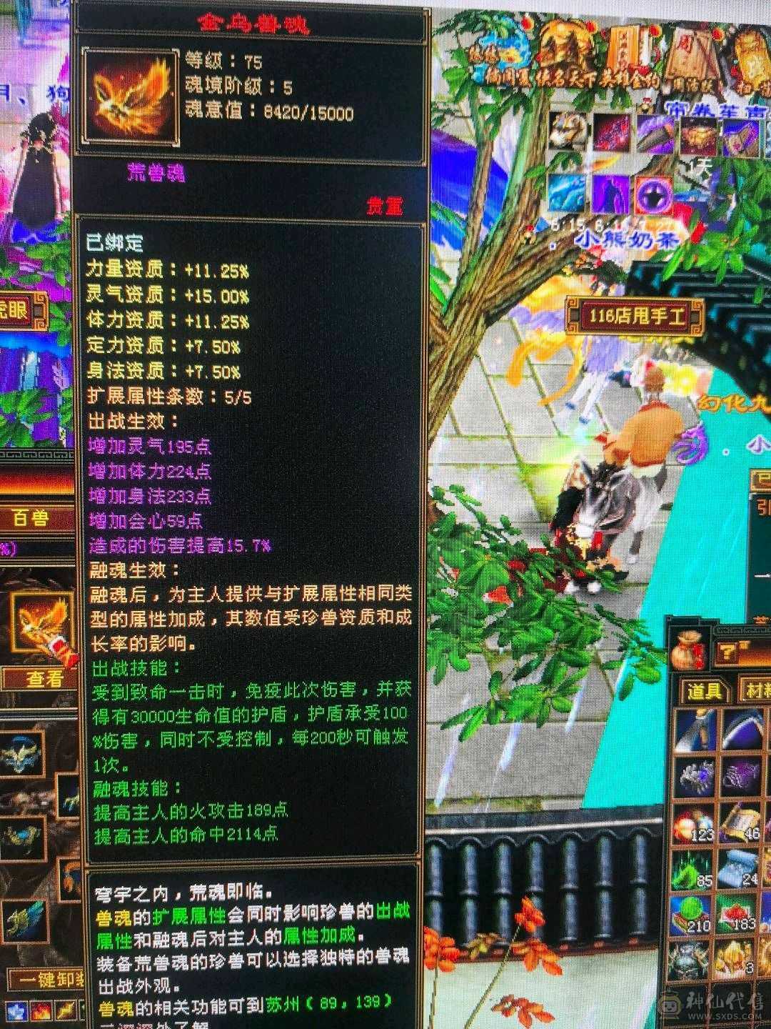 三修三减 满五逍遥  暴力打手  8500属性