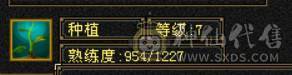五属四修四减暴力天龙总属性9775