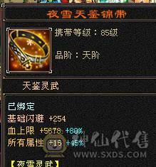 芬达推荐：极限5级逍遥，满5宝石，主属5500，3修，外观永久白熊坐骑也有！不还价