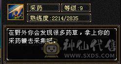 1000多买5000属卡级号，要打架花200块上6个抗就行了