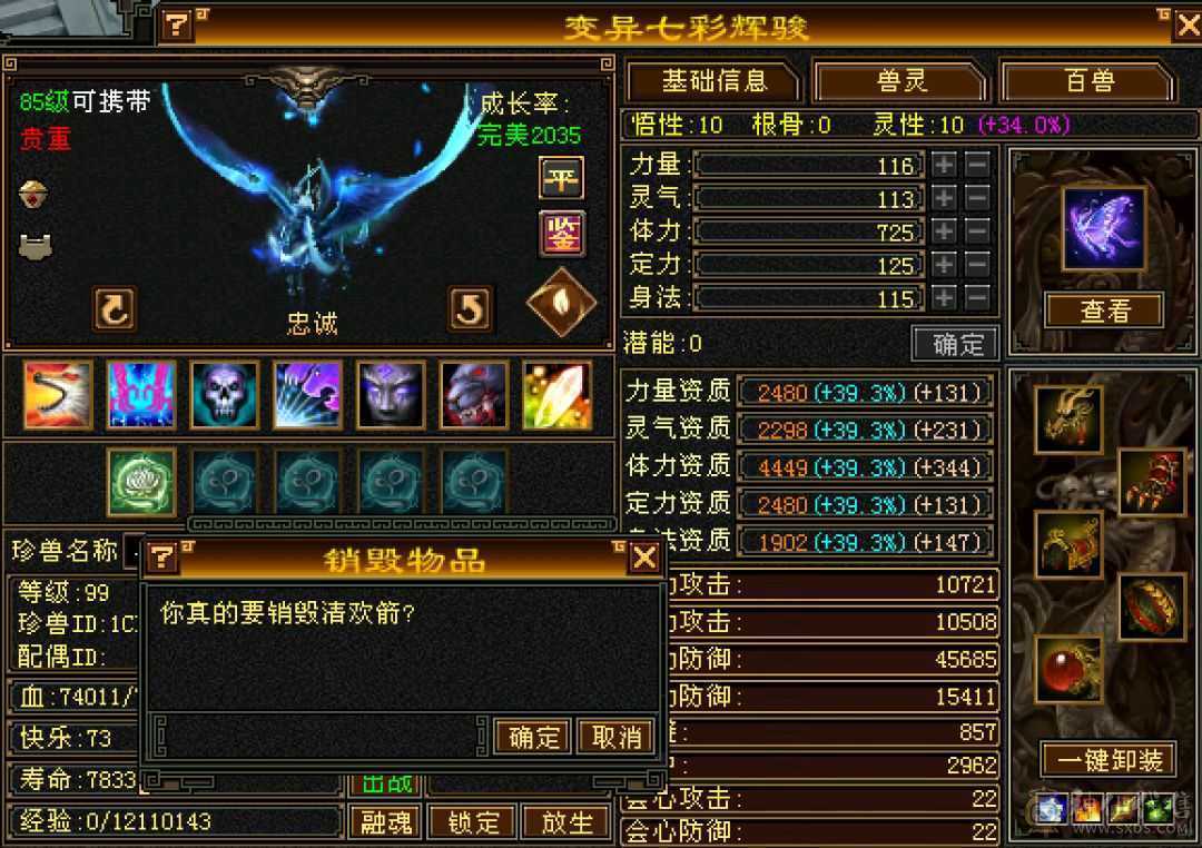 🏅温暖推荐🏅能抗能打漂亮小峨眉！