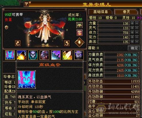 所见即所得。