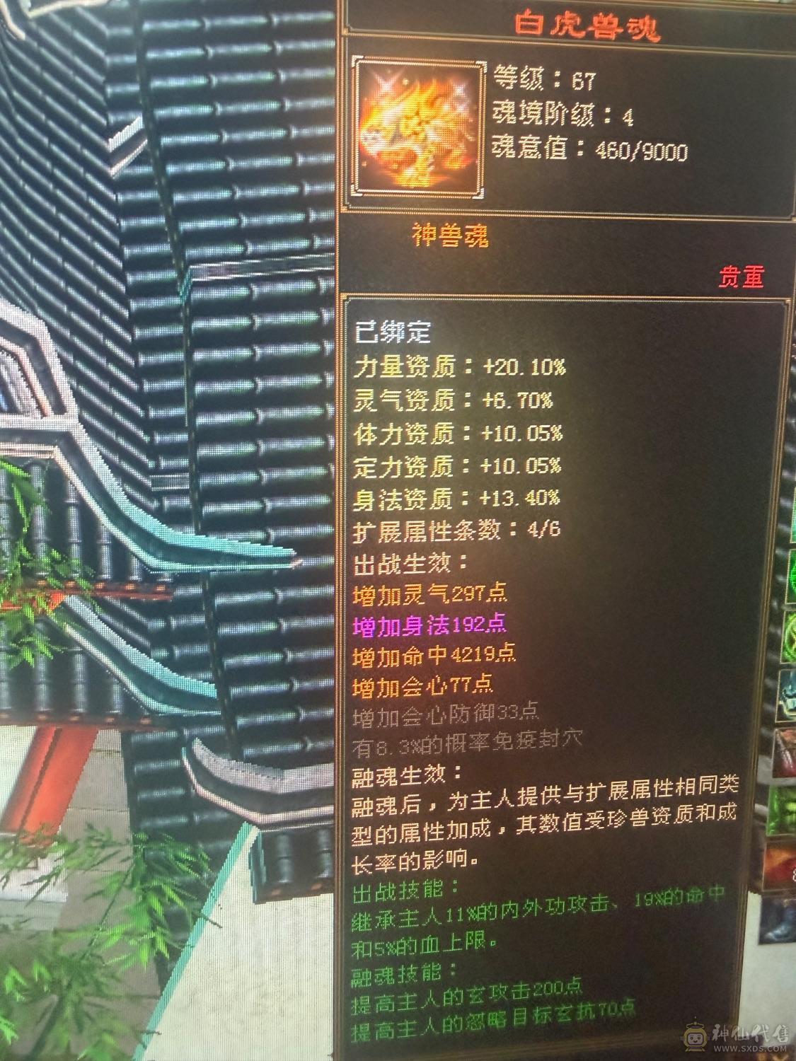【邀月推荐】满6极限7精绘，6神，极品增伤词条+极品增伤毒命增一套大词条05,断桥赤兔4级配色4级幻视，5000+附体
