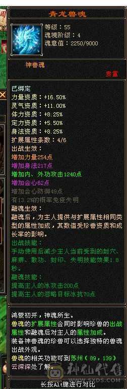气武当6体力6属性6定力极品装备