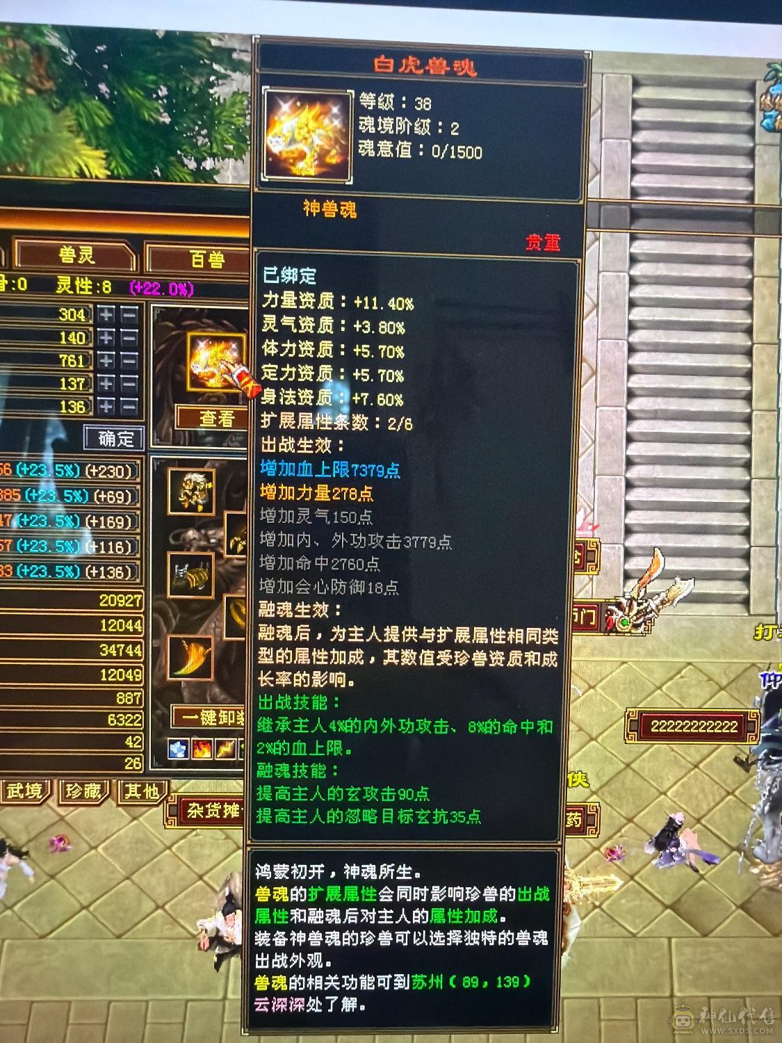 已改最低！同价位最佳6带5高减抗天山-50万血-5阶神-没有一颗4