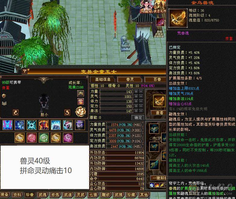 戴叶推荐：精品6级双下限天山