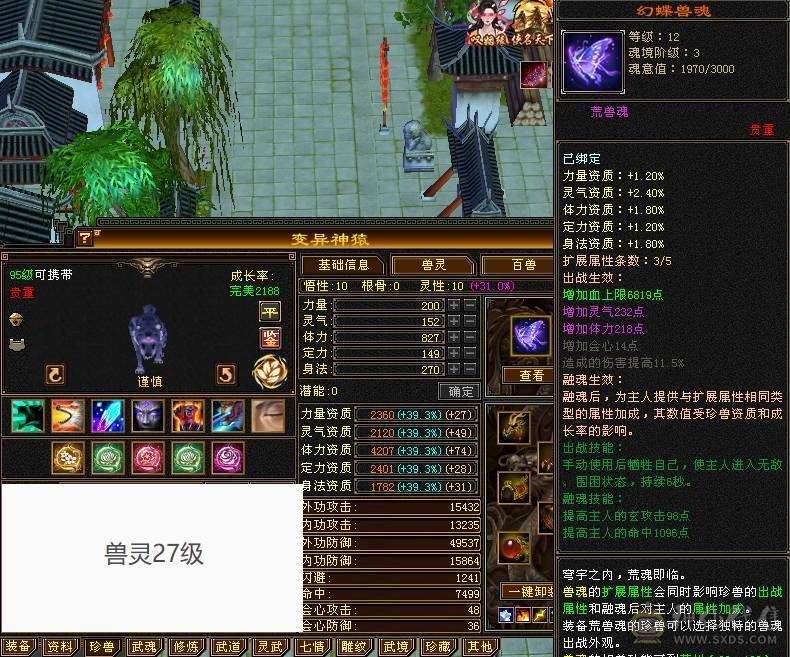 戴叶推荐：精品6级双下限天山