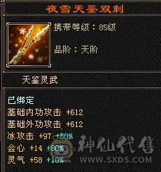 戴叶推荐：精品6级双下限天山