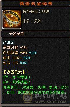 黄金甲3修高内功增伤武当，裸面板。