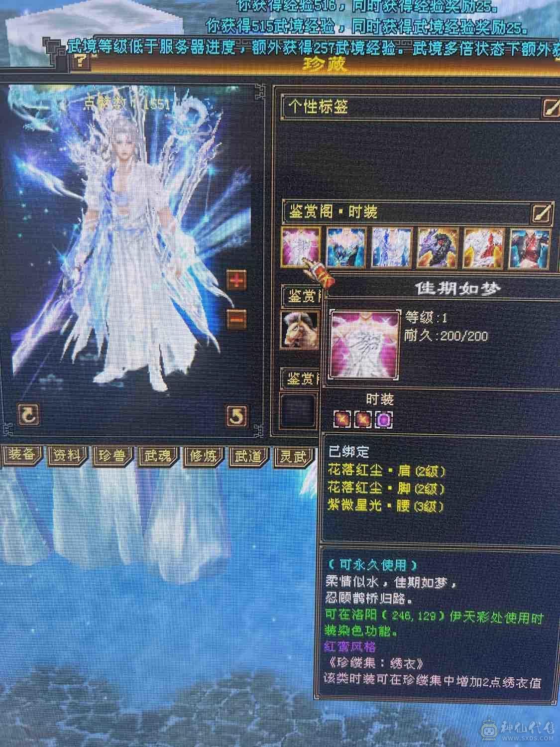 处理不玩了，基本都没落下，三修，冰5600.火1300.玄1000