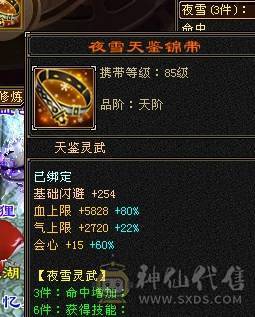 6神满6减带7极限三修星宿，火炕过千抗死所有火属性，精品时装多4级配饰、3级配饰多，老雕文9新雕文7，雪猿+麒麟+赤兔三坐骑，附体外观4个、各个稀有，好看到爆表
