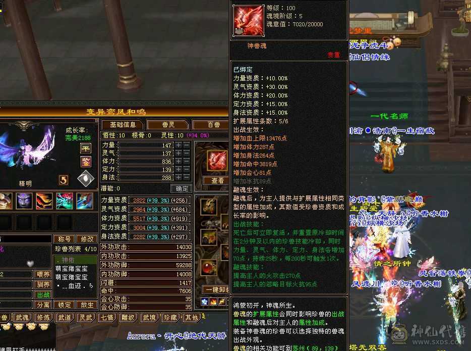 三修精品5级明教，没有一个6雕文8-7精绘，5神过半