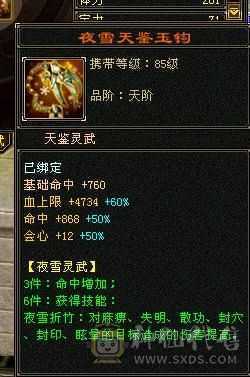 6级恶人谷，属性雕文10-10，8万命中，8869属（裸属））