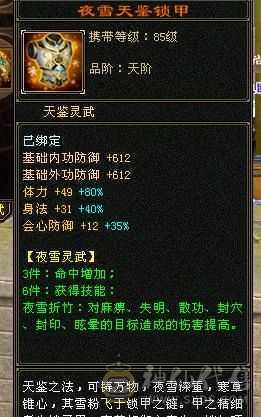 6级恶人谷，属性雕文10-10，8万命中，8869属（裸属））
