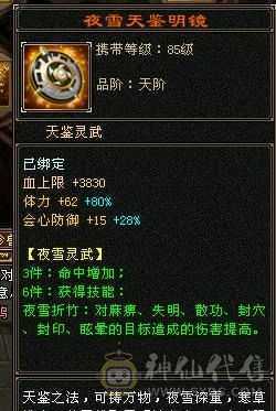 6级恶人谷，属性雕文10-10，8万命中，8869属（裸属））