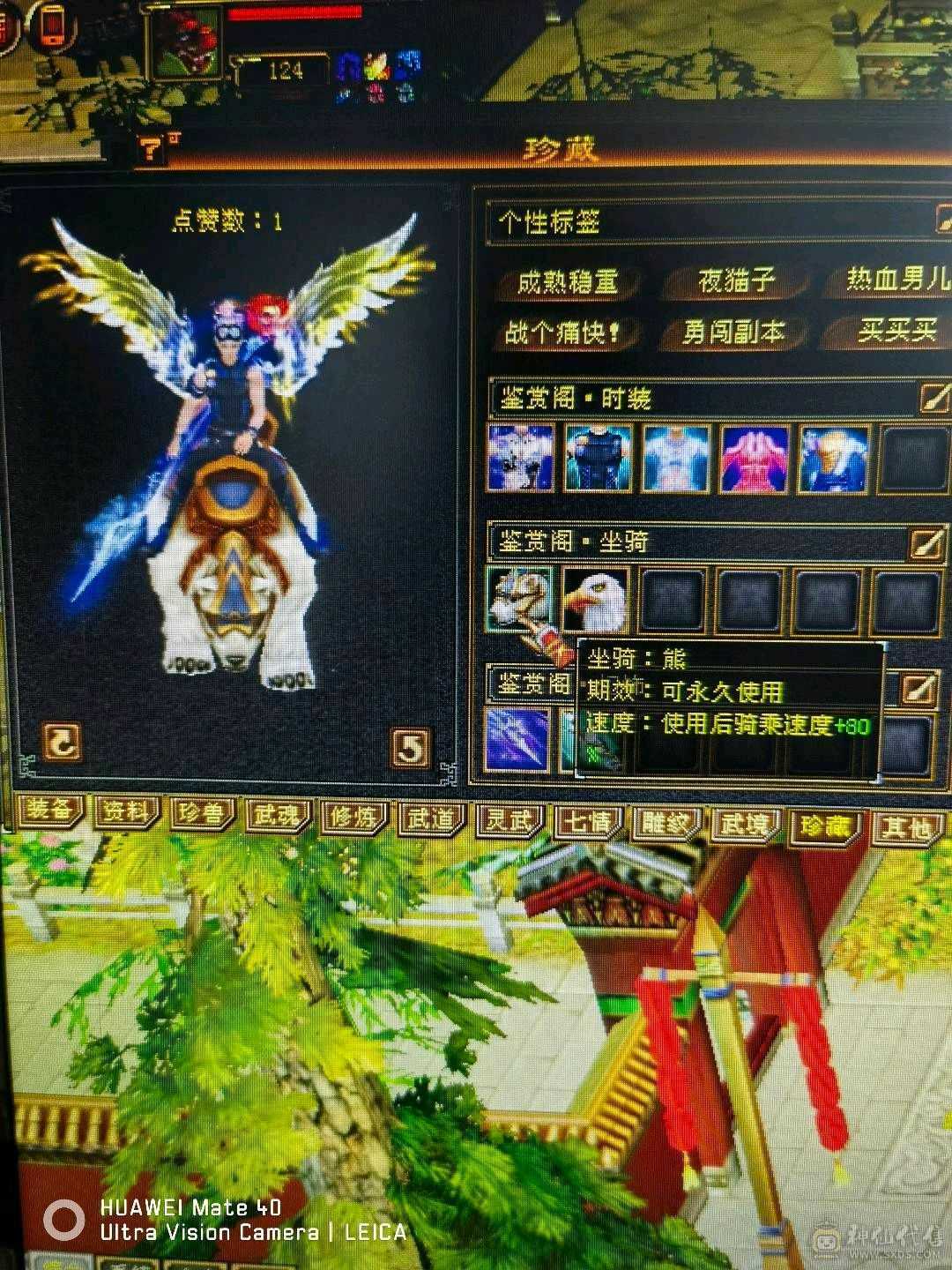 养老。副本号