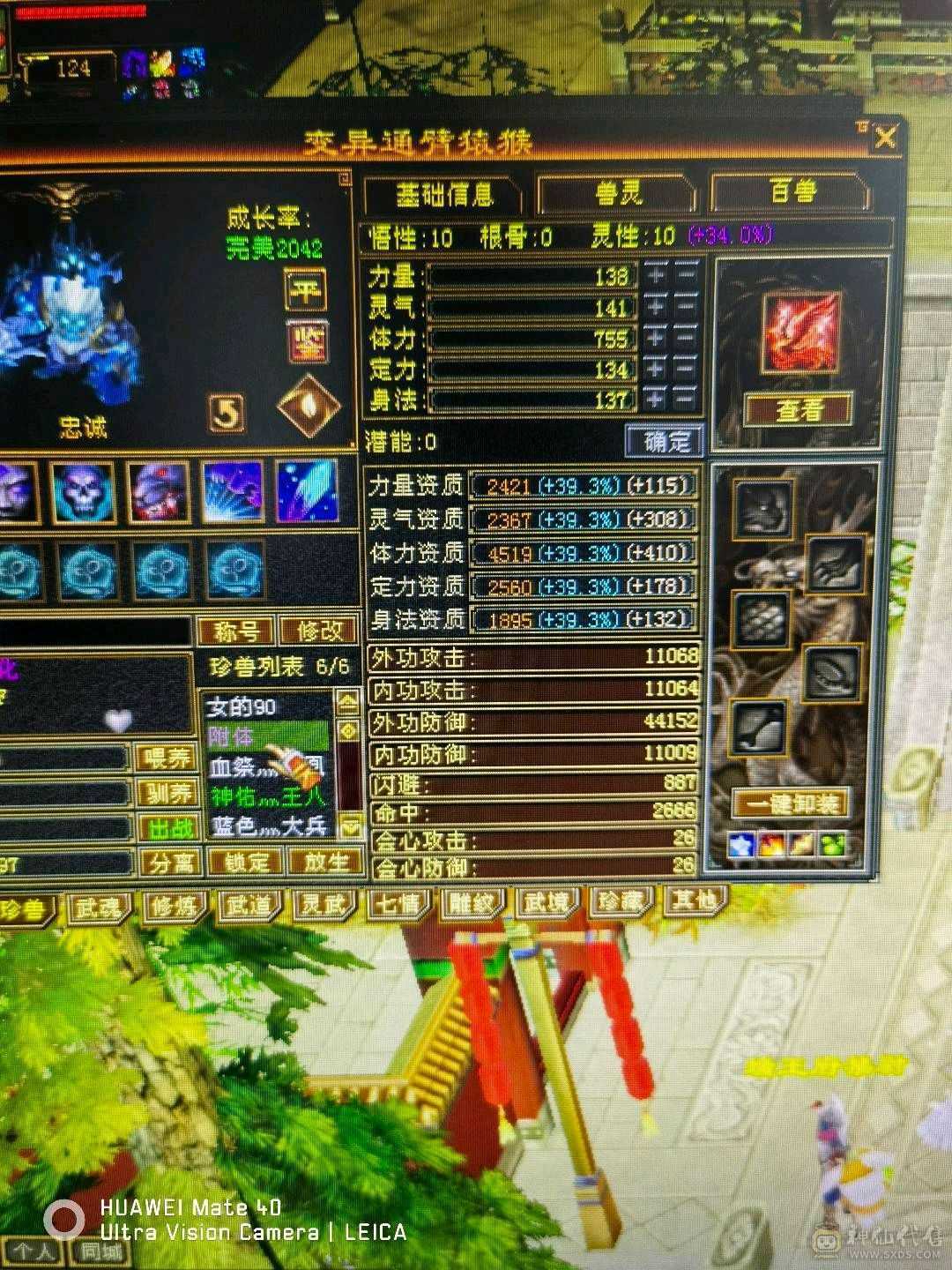 养老。副本号