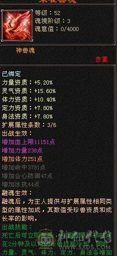 4级配饰，永久坐骑四修极限5级逍遥